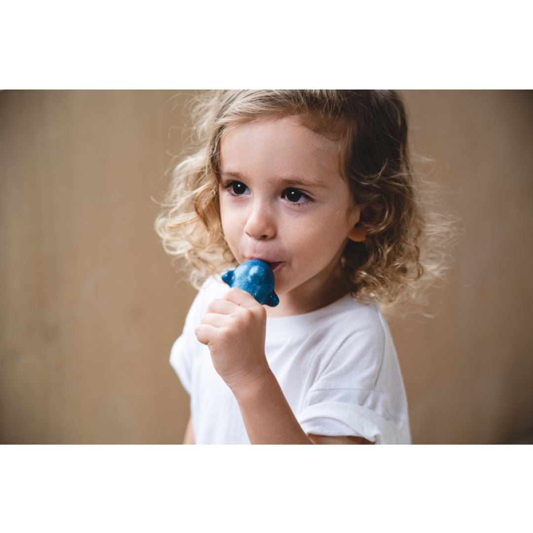 Dolphin Whistle - The Nurturing Nook