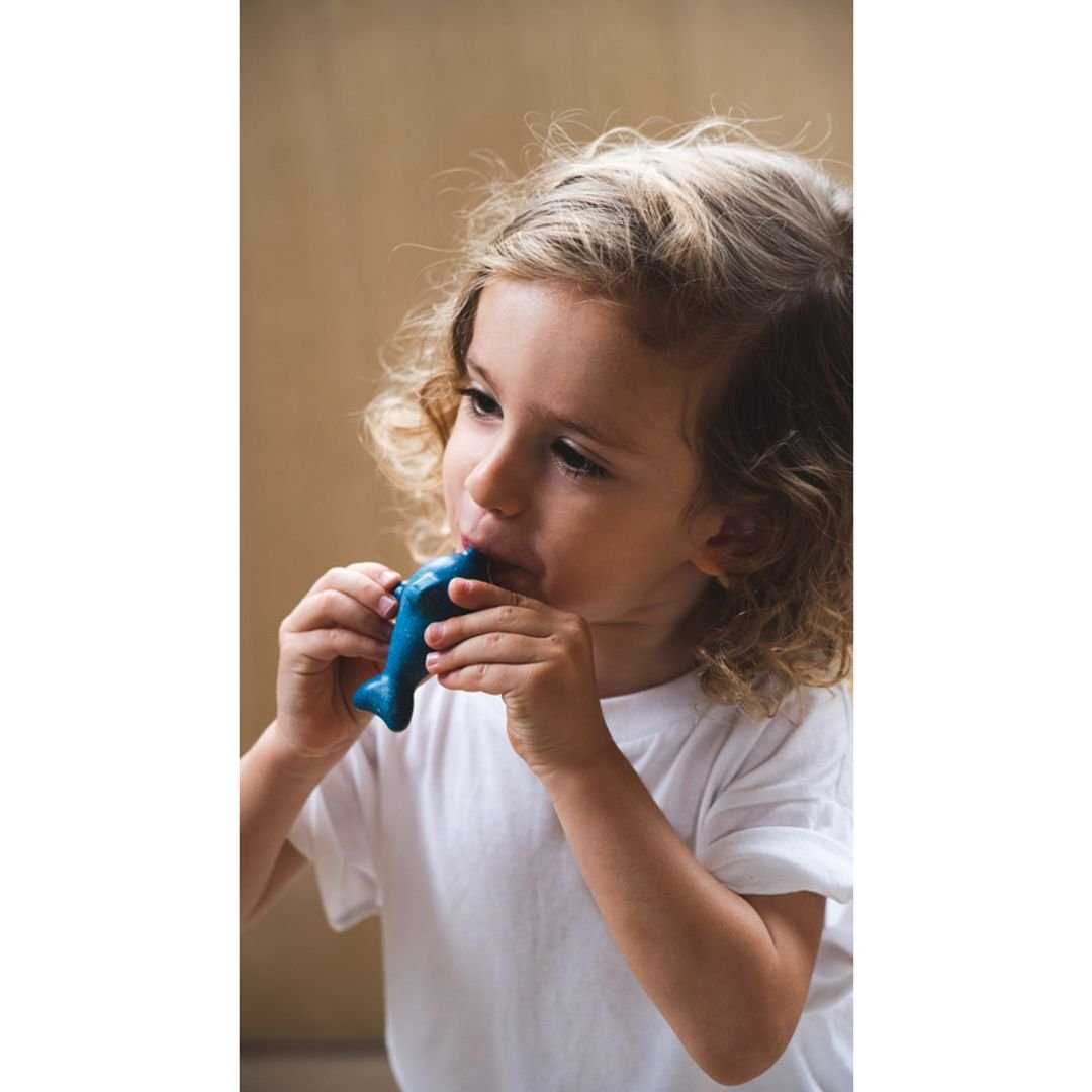 Dolphin Whistle - The Nurturing Nook