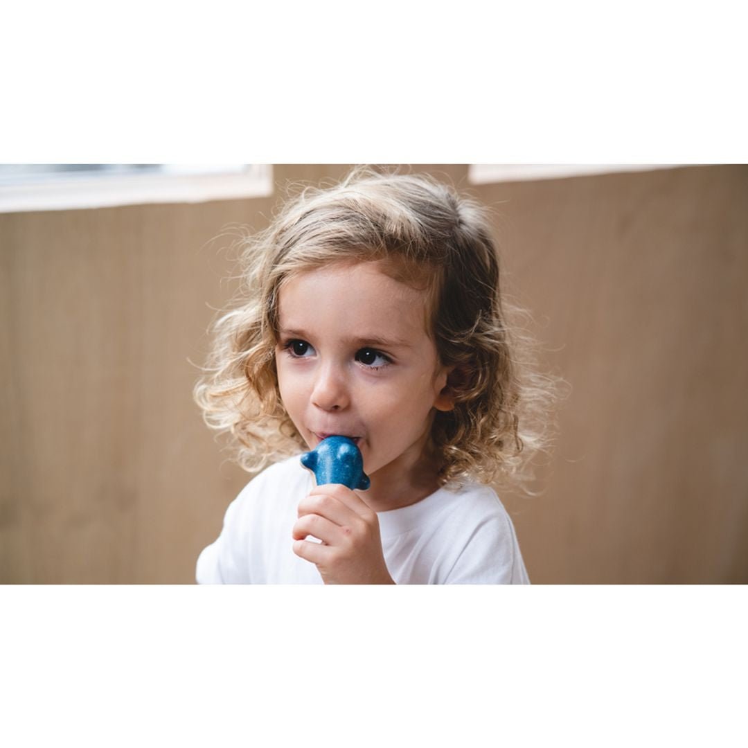 Dolphin Whistle - The Nurturing Nook