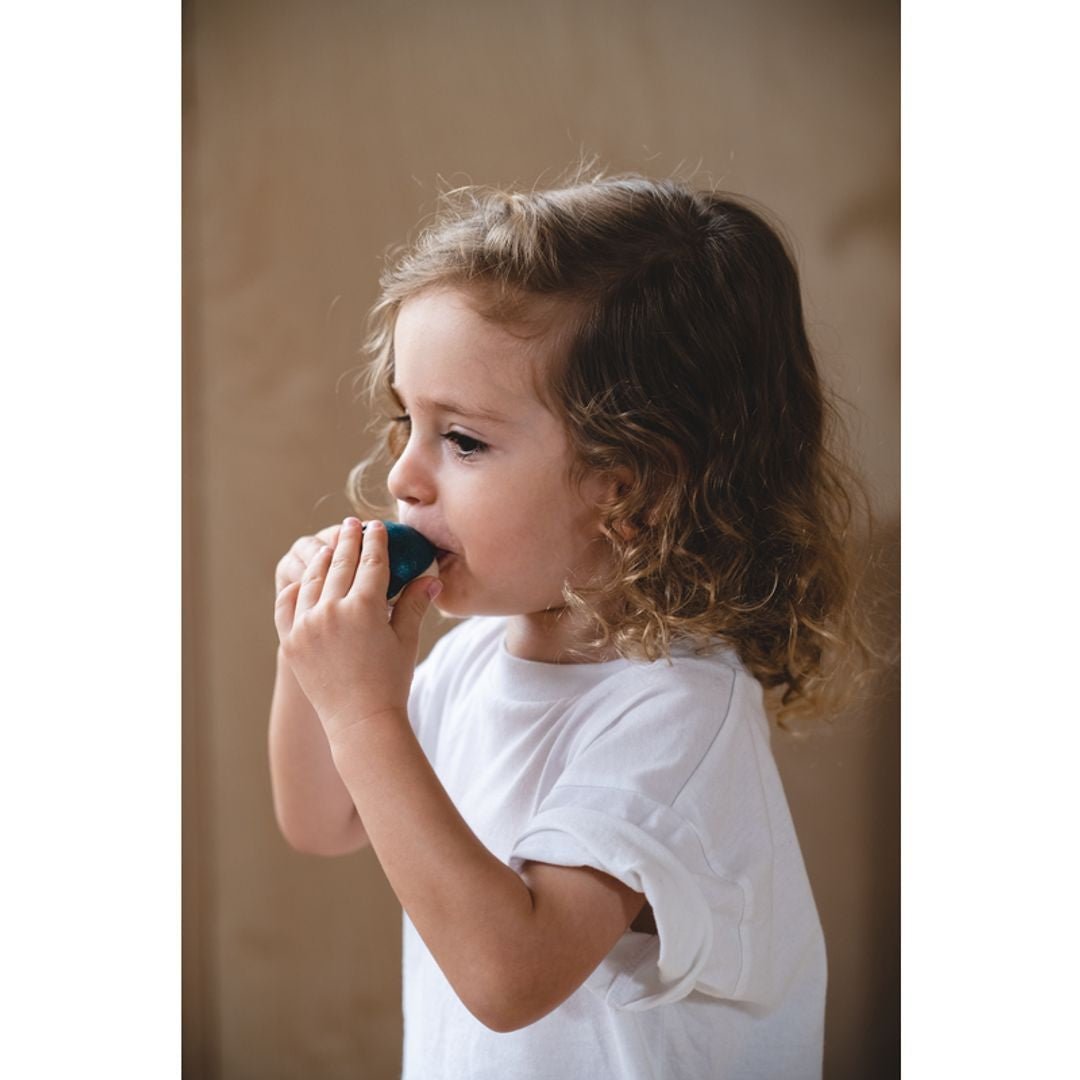Dolphin Whistle - The Nurturing Nook