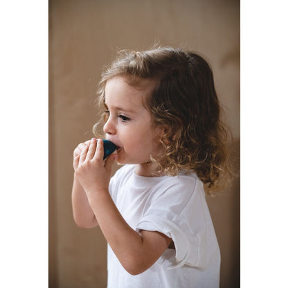 Dolphin Whistle - The Nurturing Nook