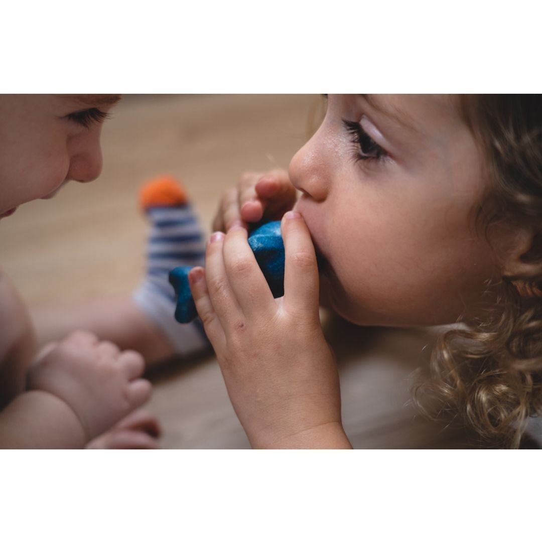 Dolphin Whistle - The Nurturing Nook