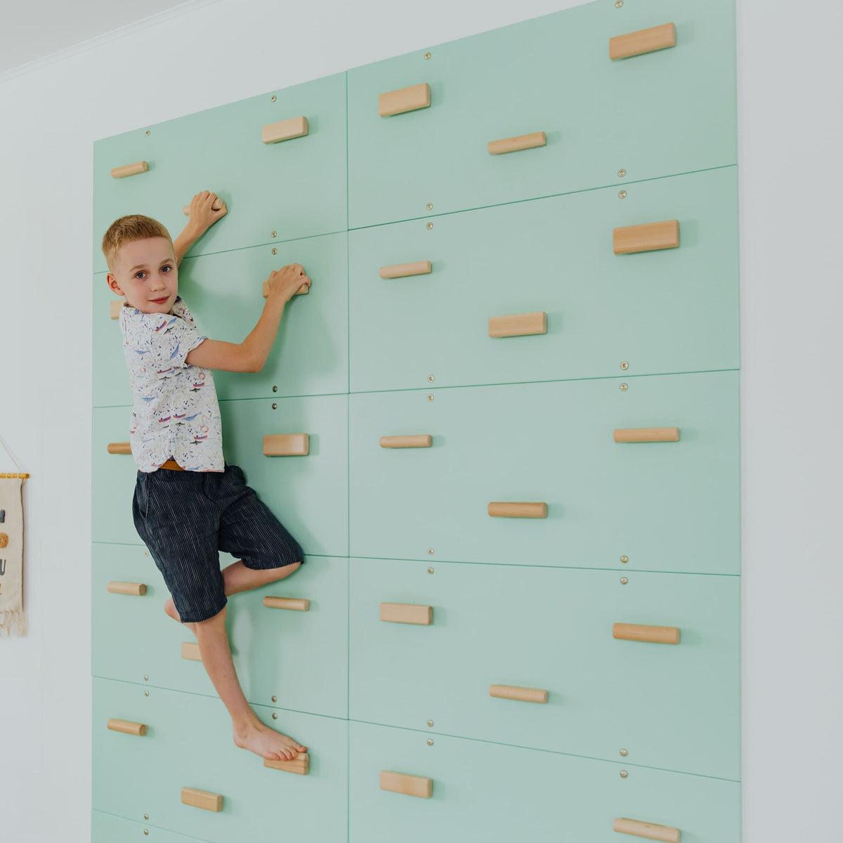 Rock Climbing Wall
