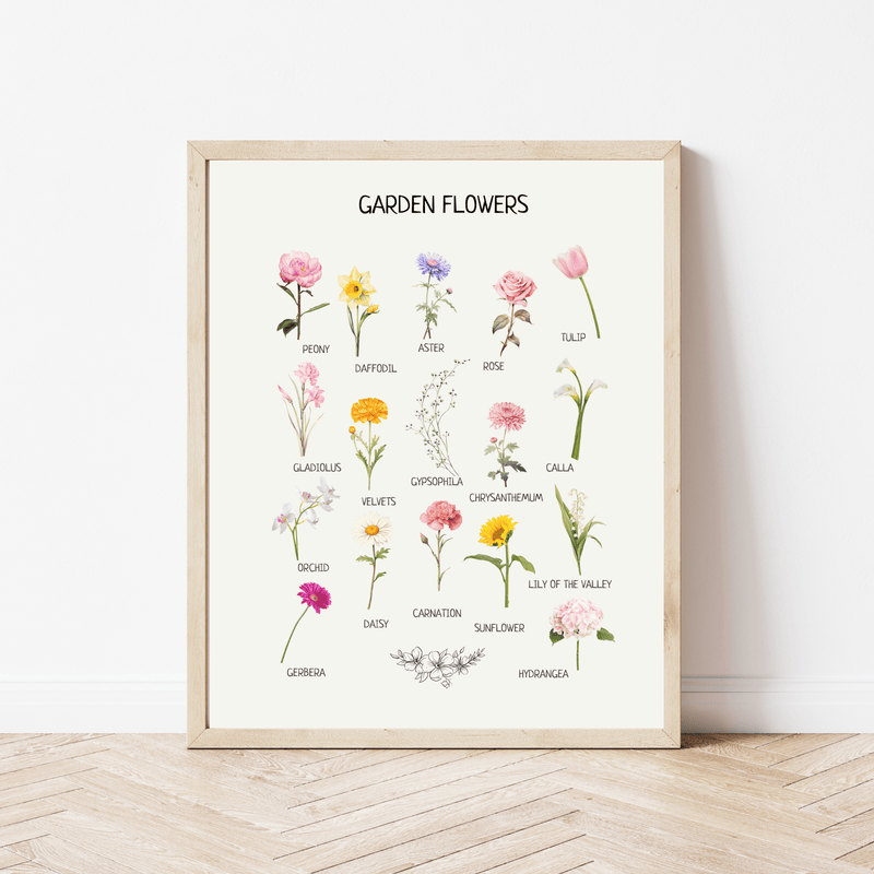 Educational Flowers Poster - Botanical Wall Art for Montessori Classroom, Kids’ Homeschool & Nursery Decor | Digital Download
