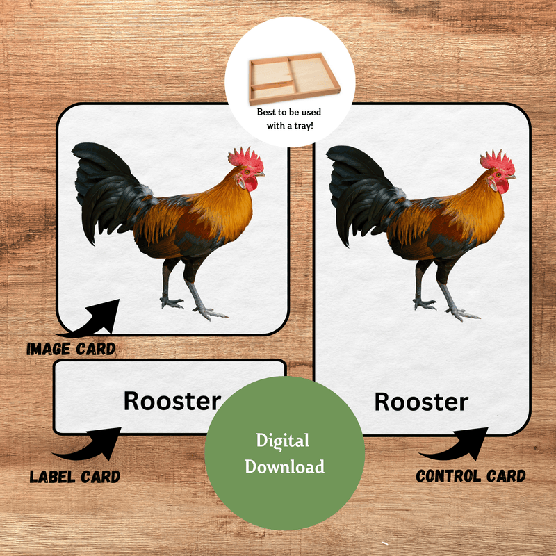 Farm Animals Montessori 3-Part Cards | Nomenclature Cards | Pre-Reading Printable Cards