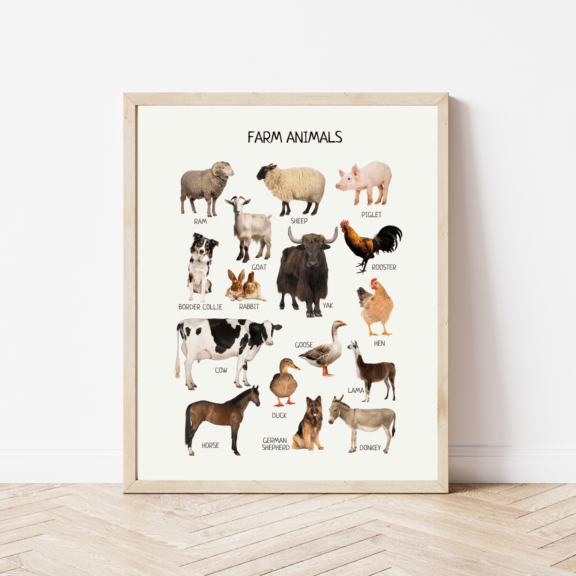 Farm Animals Poster - Montessori Educational Wall Art for Kids' Nursery, Playroom & Classroom | Digital Download - The Nurturing Nook