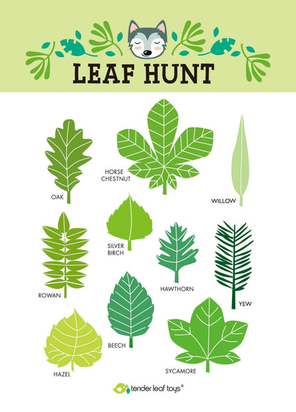 Forest Trail Kit - The Nurturing Nook
