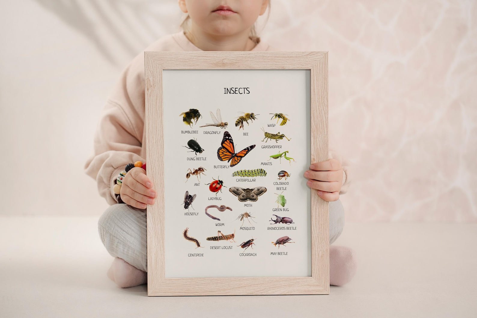 Insects Educational Poster - Montessori Printable Wall Art for Classroom, Preschool & Homeschool Learning | Digital Download - The Nurturing Nook