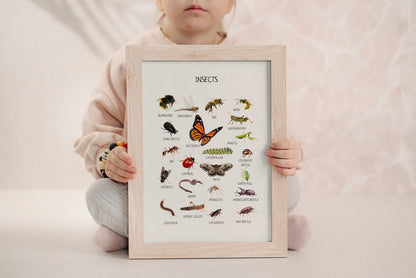 Insects Educational Poster - Montessori Printable Wall Art for Classroom, Preschool & Homeschool Learning | Digital Download - The Nurturing Nook