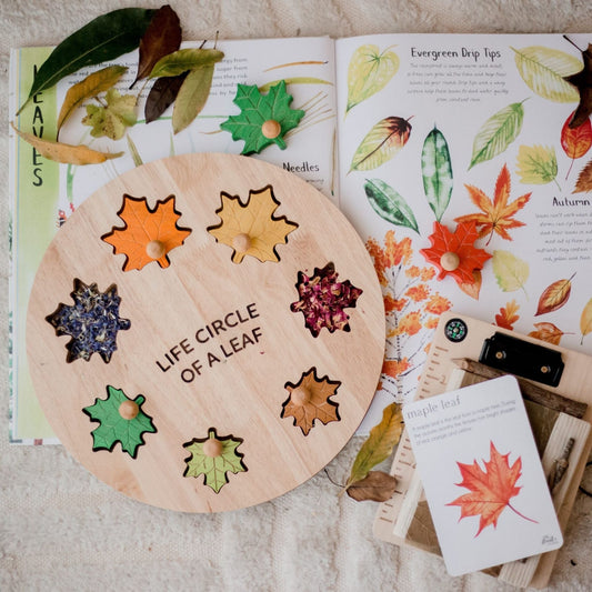 Leaf Circle of Life Puzzle - The Nurturing Nook