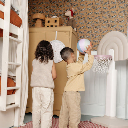 Basketball Hoop