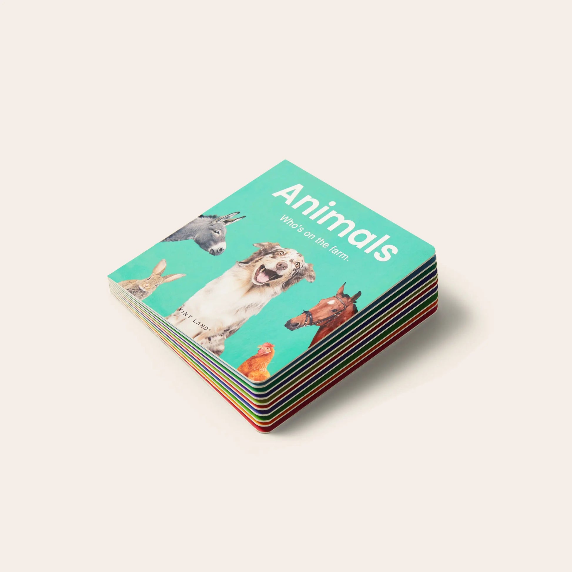 Montessori learning box – 16 to 18 months (non - subscription) - The Nurturing Nook