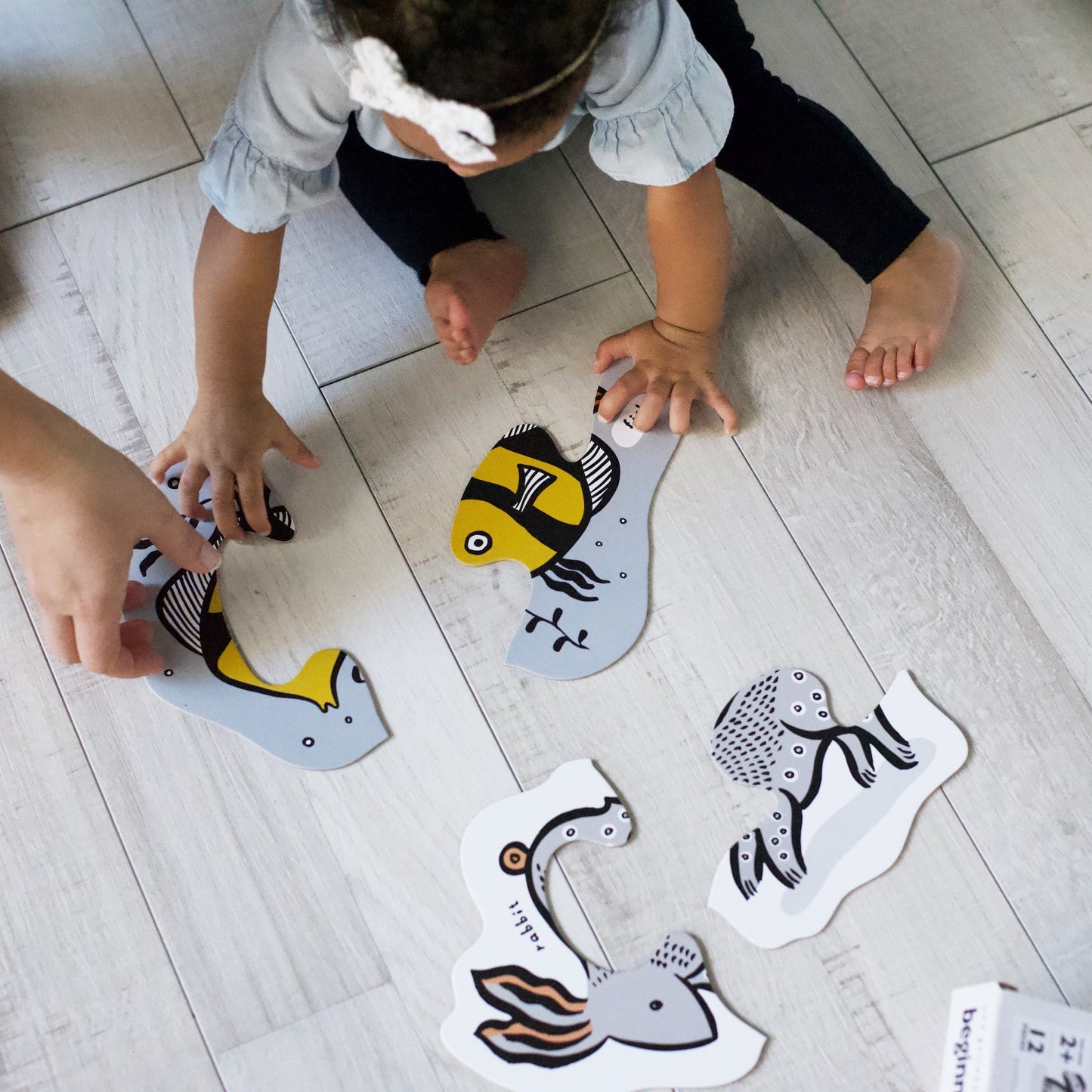 Pets Explorer Bundle - The Nurturing Nook