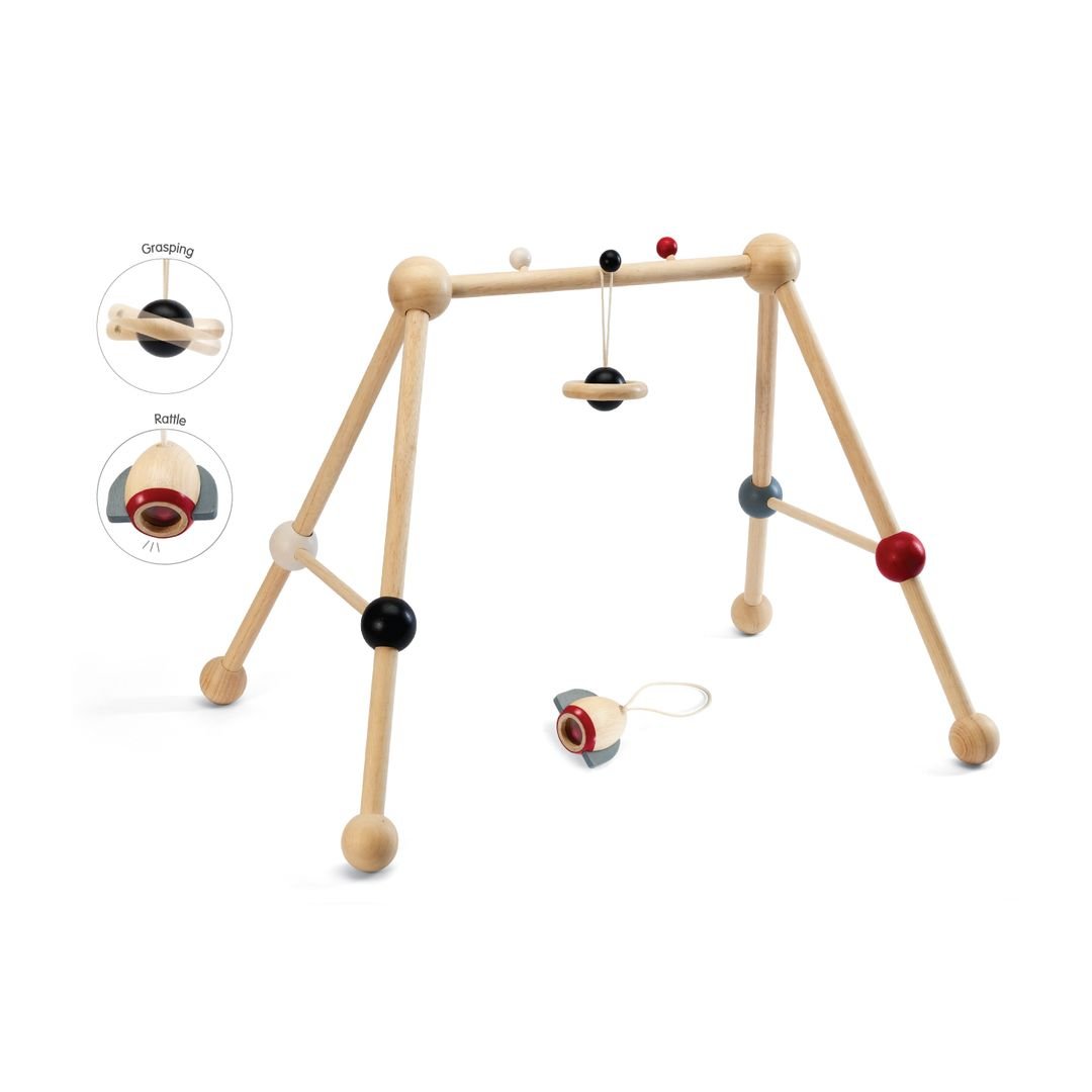 Play Gym - High Contrast - The Nurturing Nook