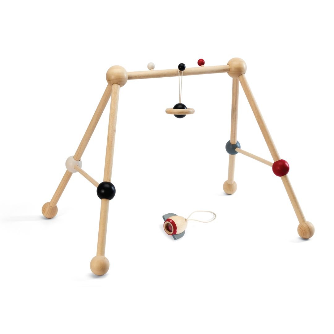 Play Gym - High Contrast - The Nurturing Nook