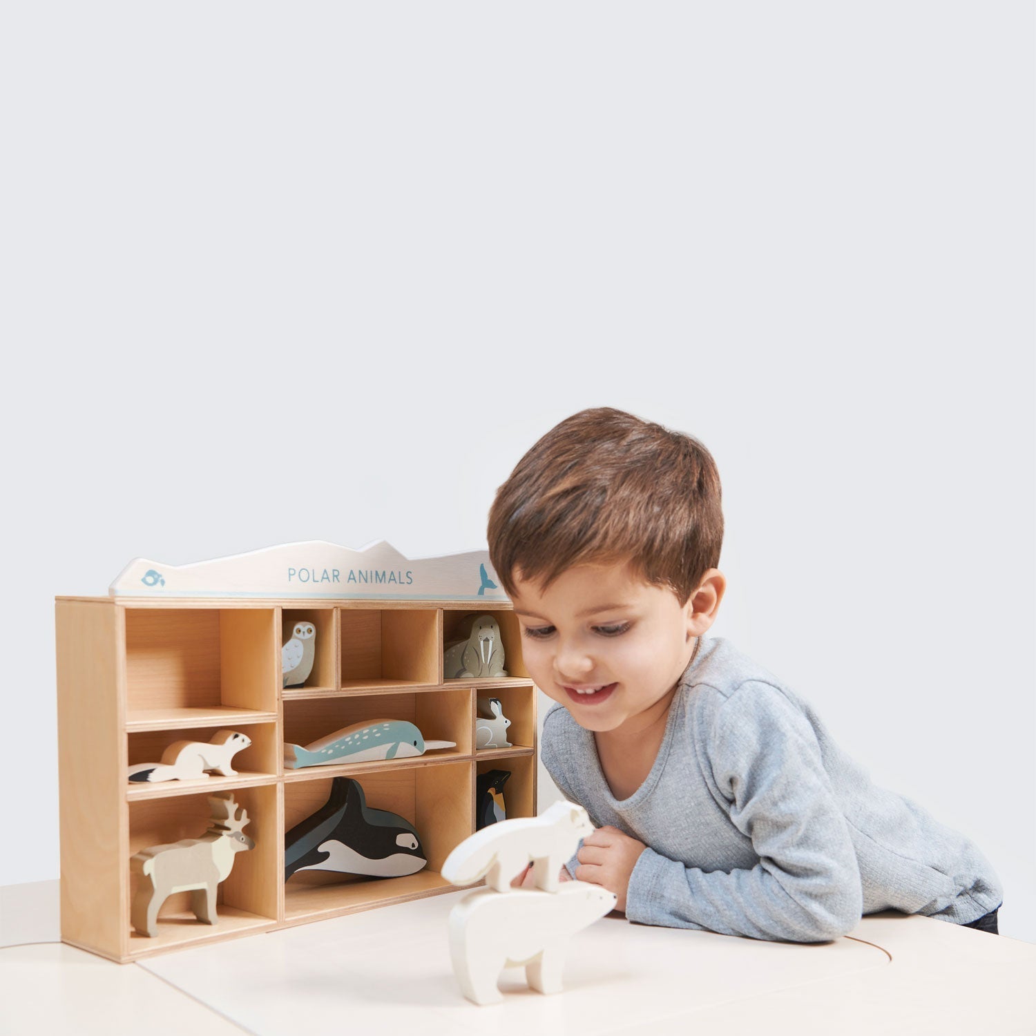 Polar Animals - The Nurturing Nook