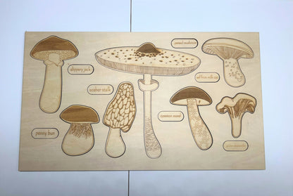 **Pre - order (Ships in 3 - 4 Weeks)**Educational Multi - Layered Wooden Puzzle - The Nurturing Nook