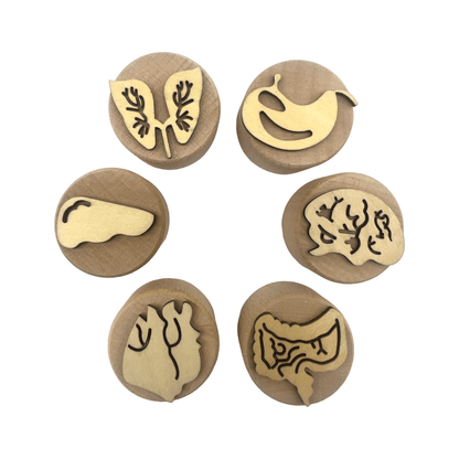 **Pre - order (Ships in 3 - 4 Weeks)**Wooden Playdough Stampers Set - The Nurturing Nook