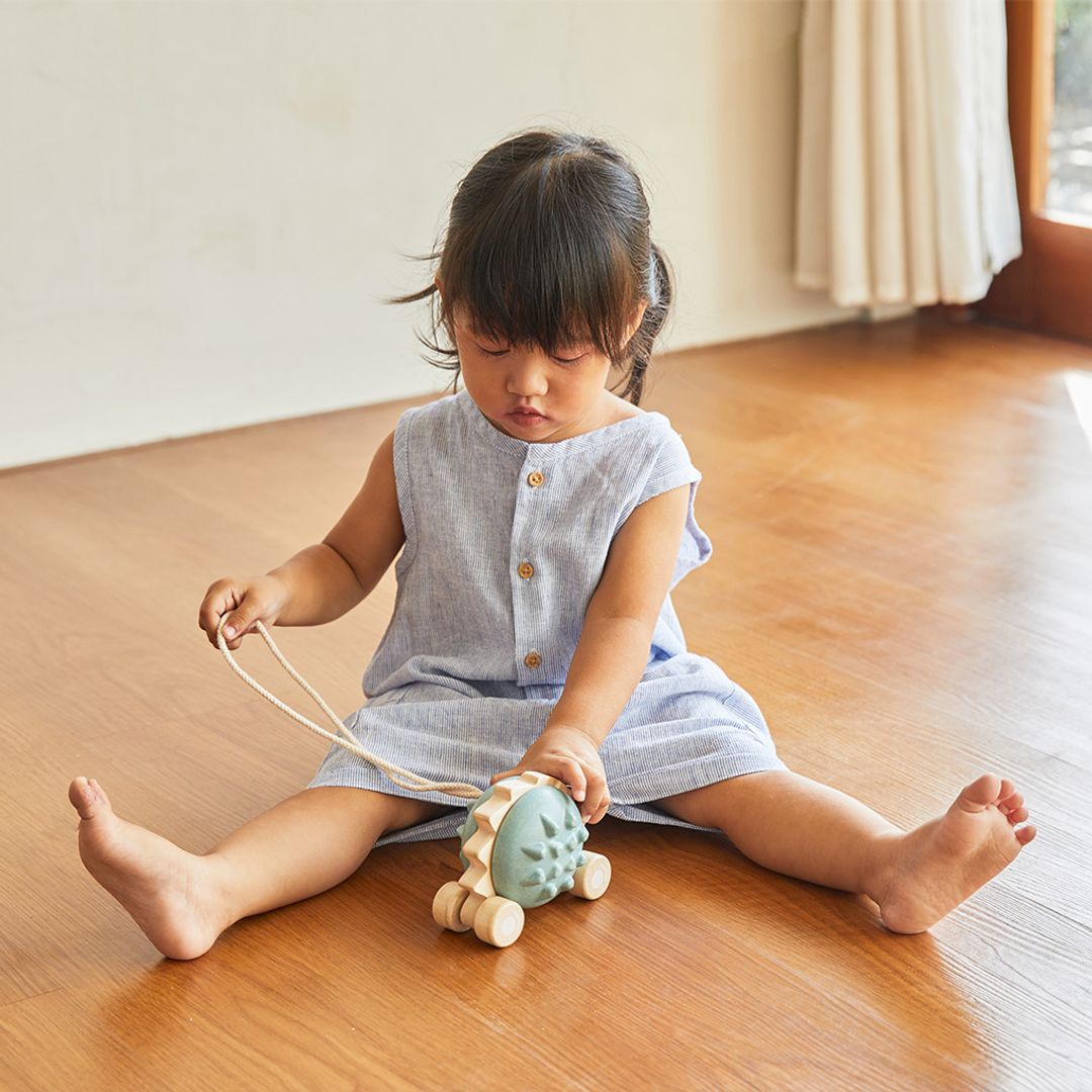 Pull - Along Hedgehog - Blue - The Nurturing Nook
