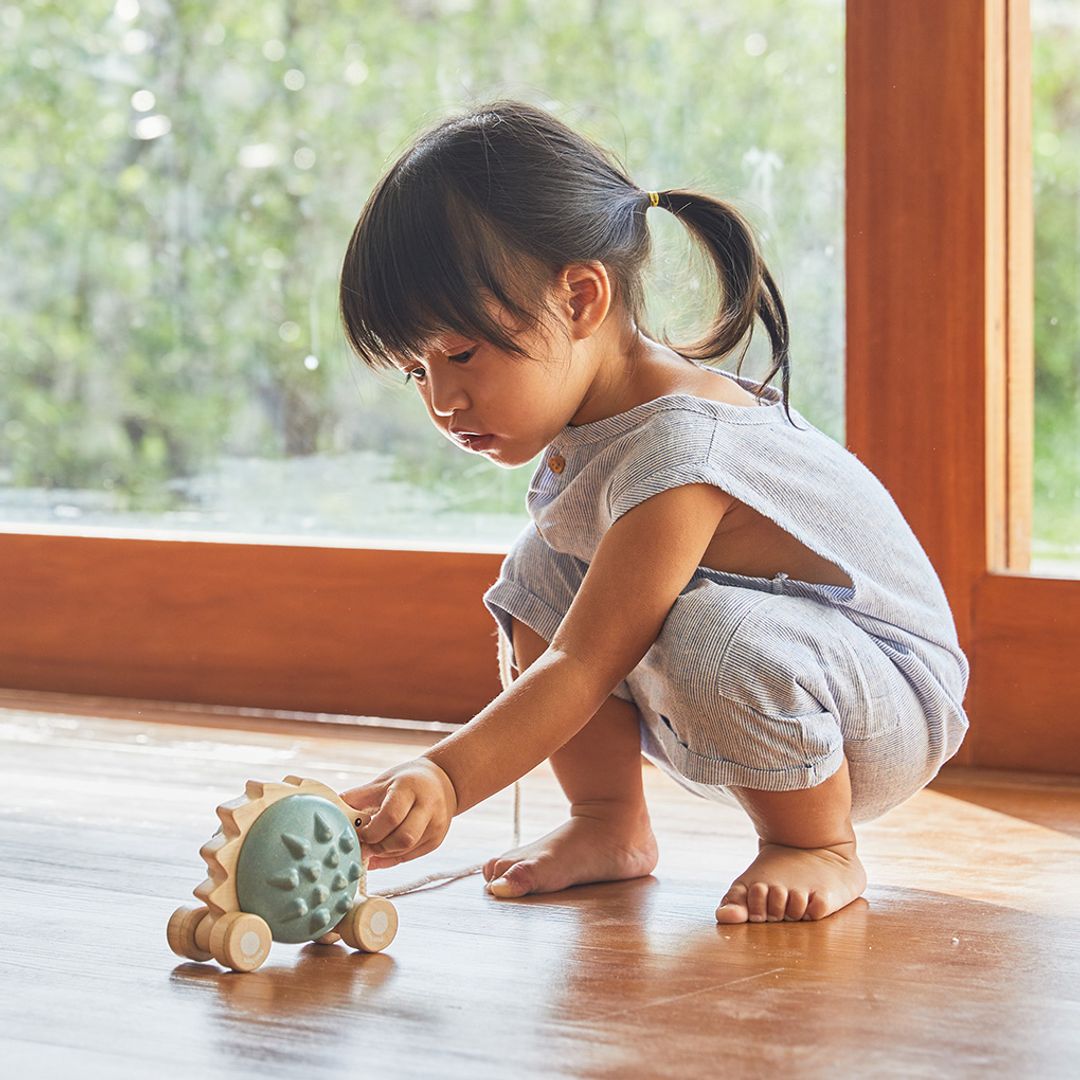 Pull - Along Hedgehog - Blue - The Nurturing Nook