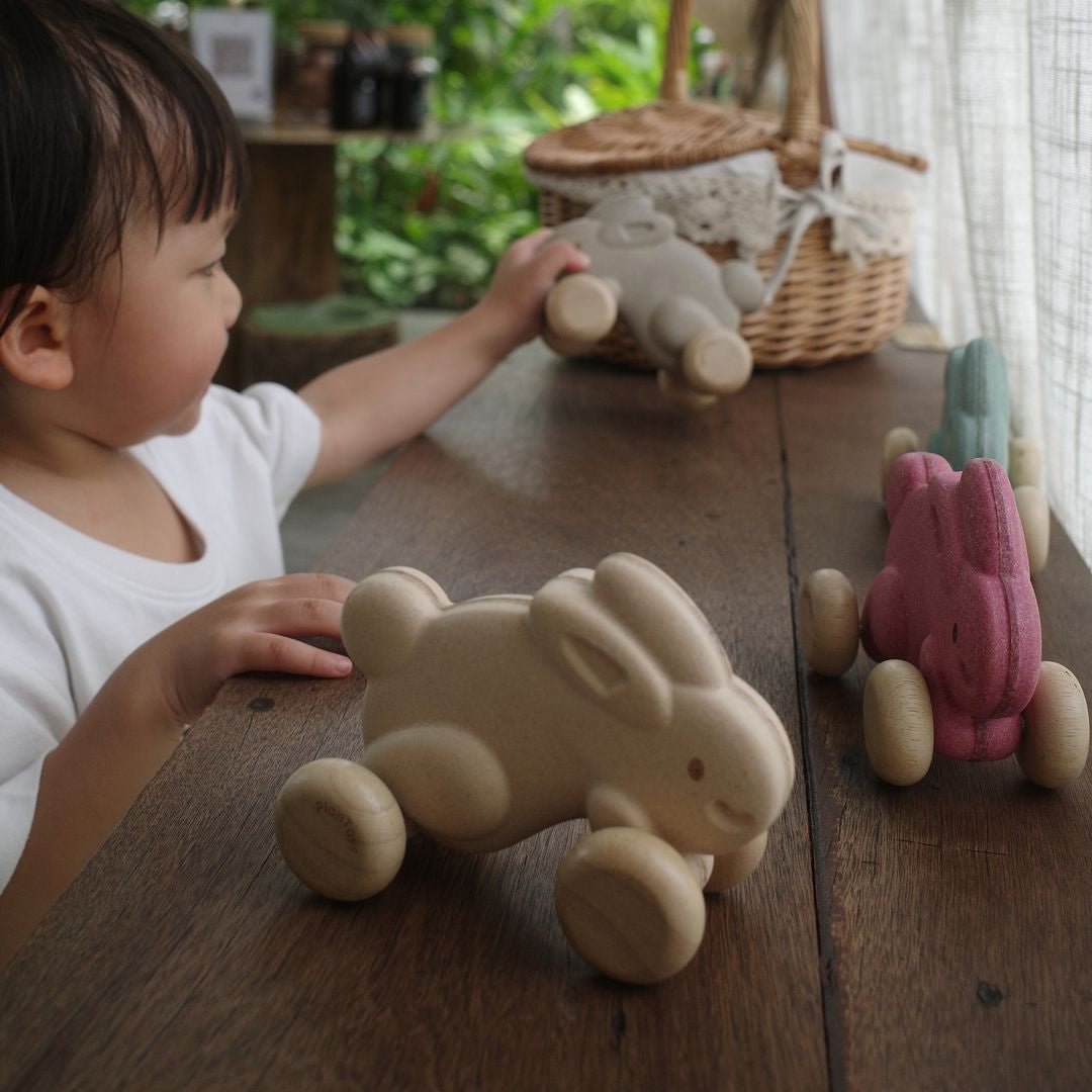Push Along Bunny - White - The Nurturing Nook