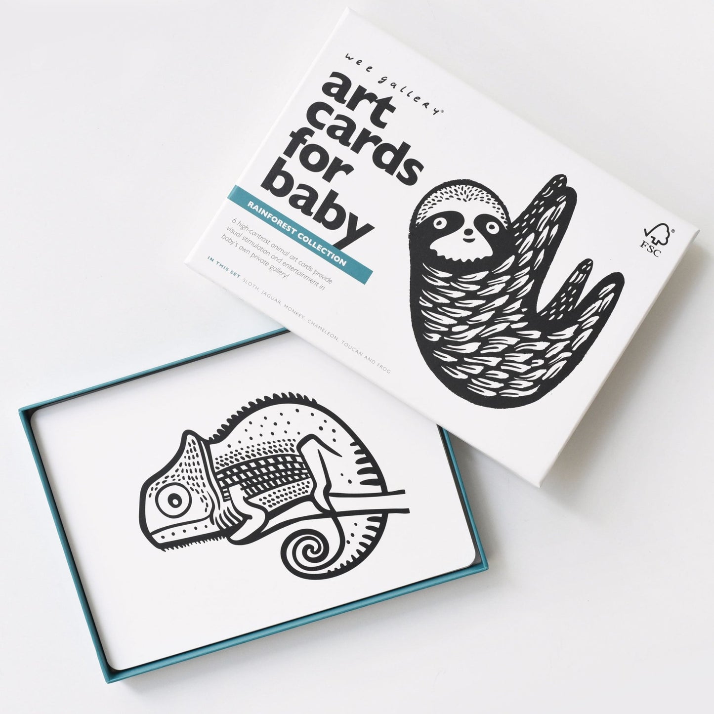 Rainforest art cards for baby - The Nurturing Nook