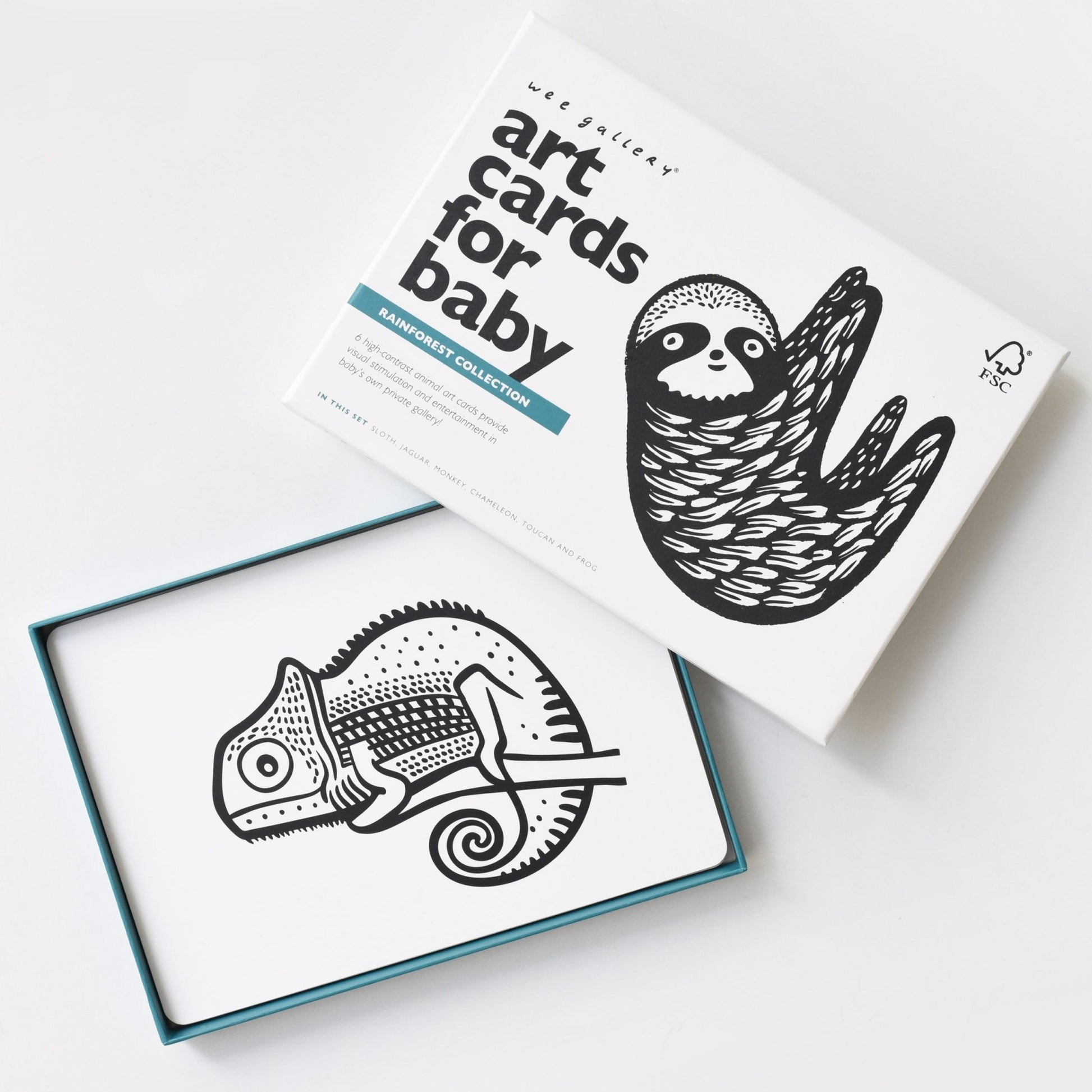 Rainforest art cards for baby - The Nurturing Nook