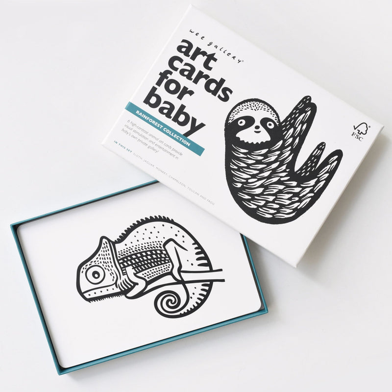 Rainforest art cards for baby - high-contrast flashcards