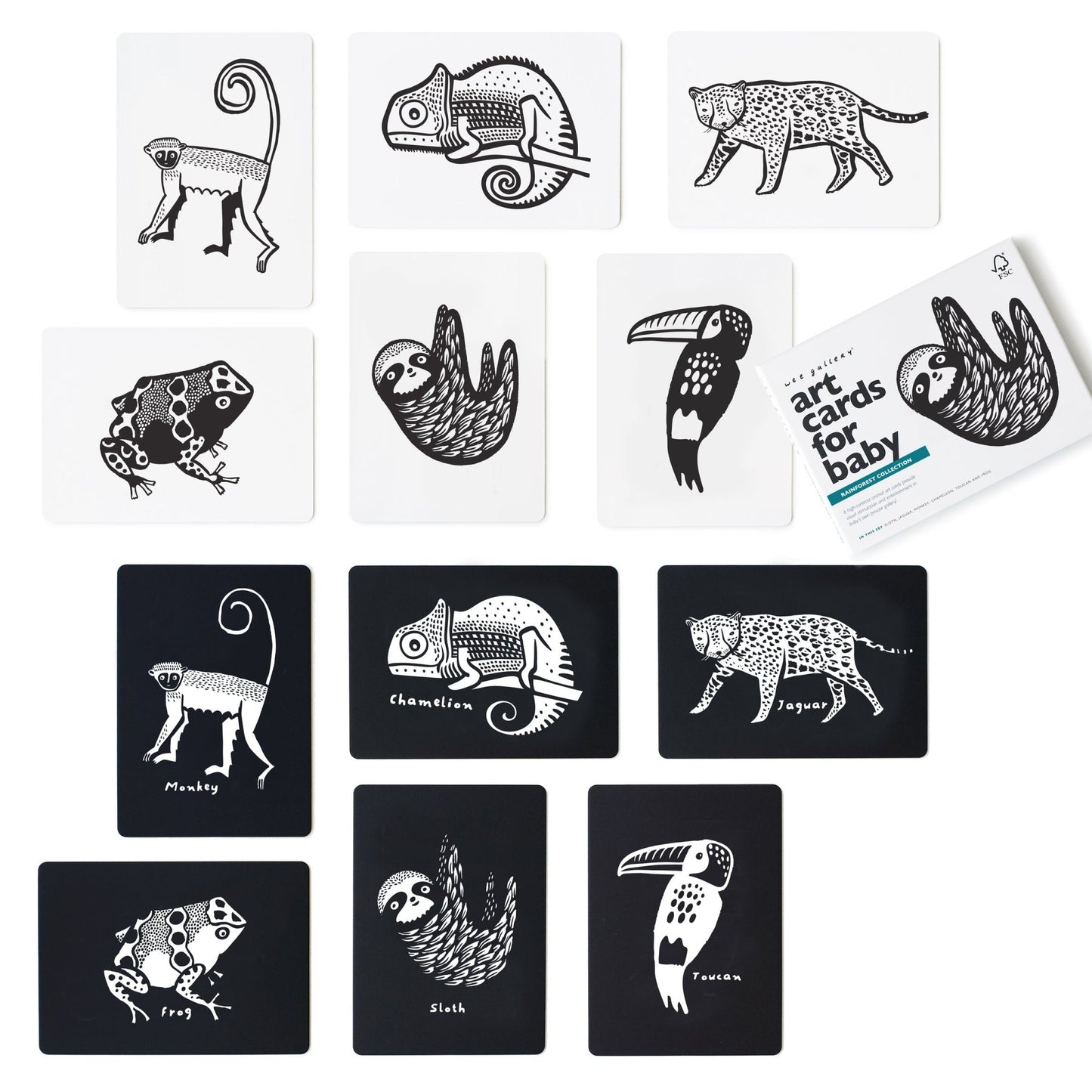 Rainforest art cards for baby - The Nurturing Nook
