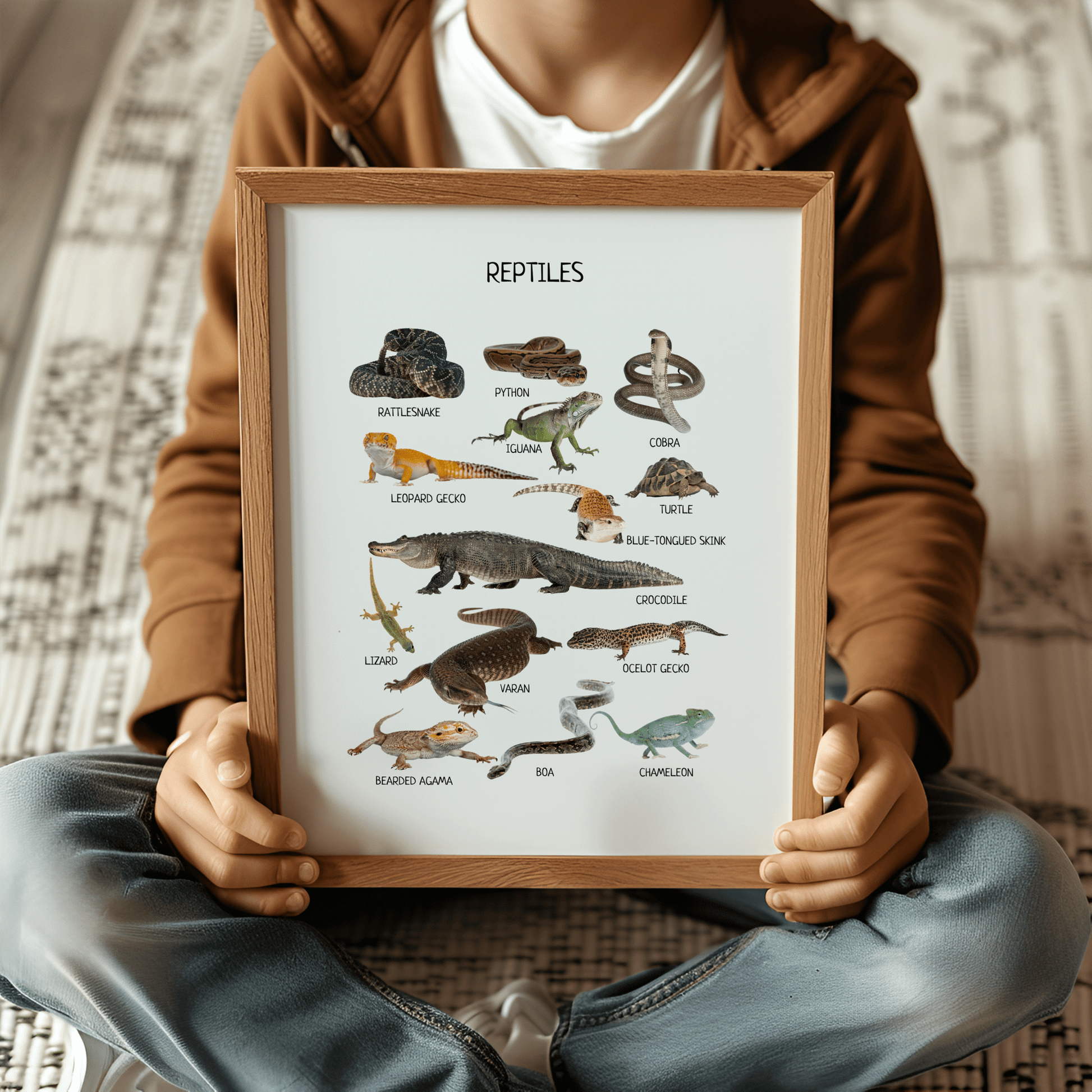 Reptiles & Amphibians Poster - Montessori Educational Animal Print for Toddler Room & Classroom Decor | Digital Download - The Nurturing Nook