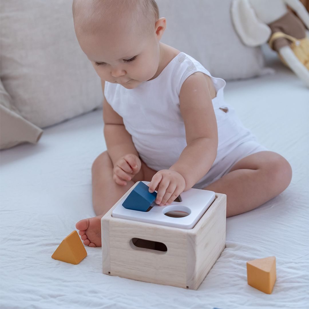 Shape & Sort It Out - Orchard - The Nurturing Nook