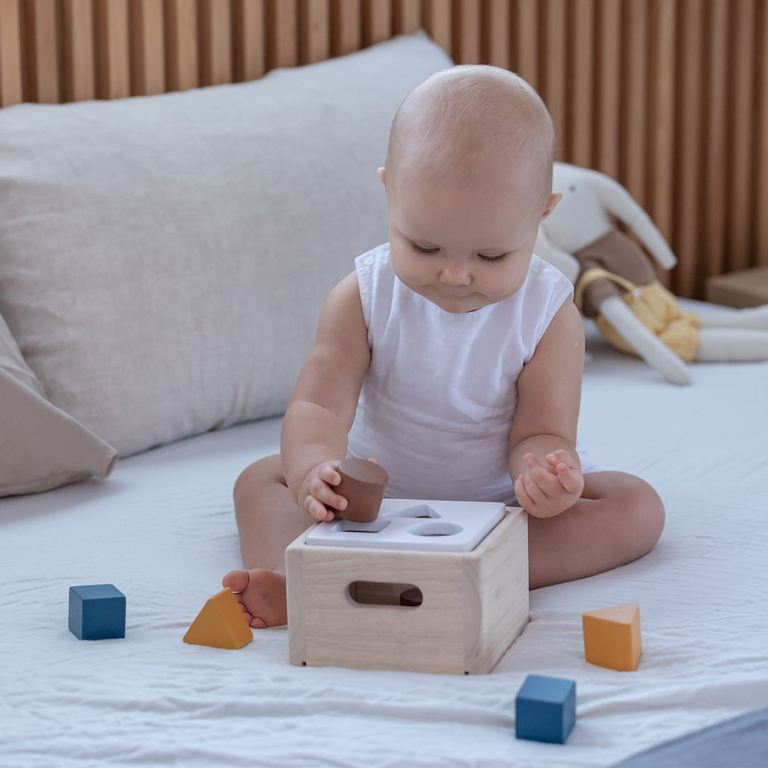 Shape & Sort It Out - Orchard - The Nurturing Nook