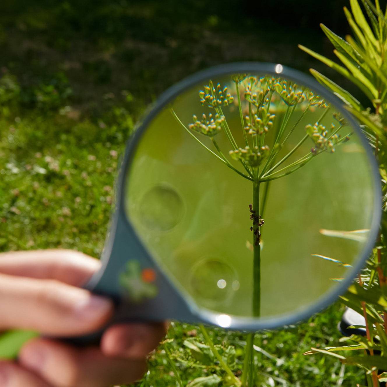 Terra Kids Magnifier - The Nurturing Nook