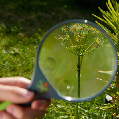 Terra Kids Magnifier - The Nurturing Nook