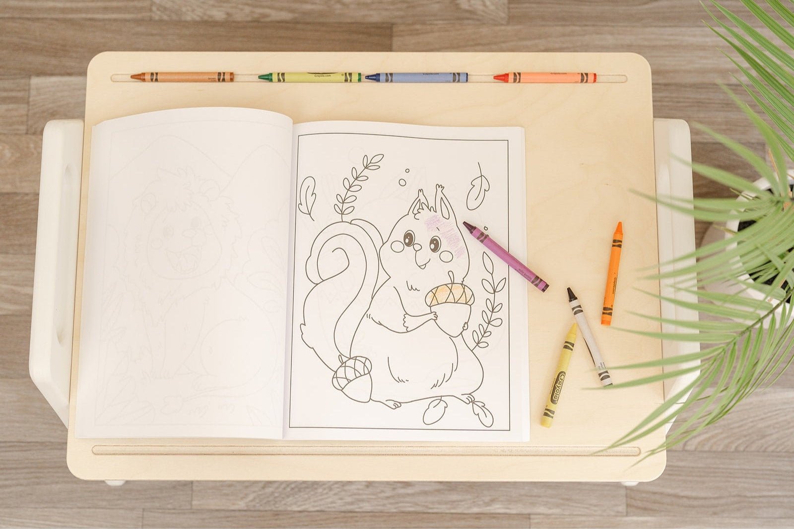 The Play Tray - The Nurturing Nook