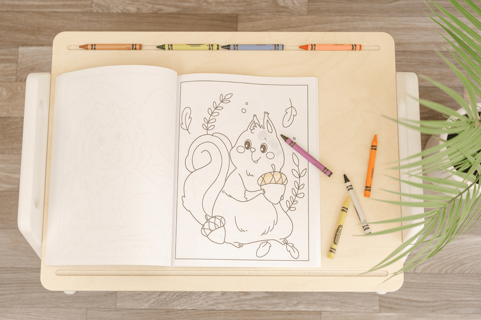 The Play Tray - The Nurturing Nook