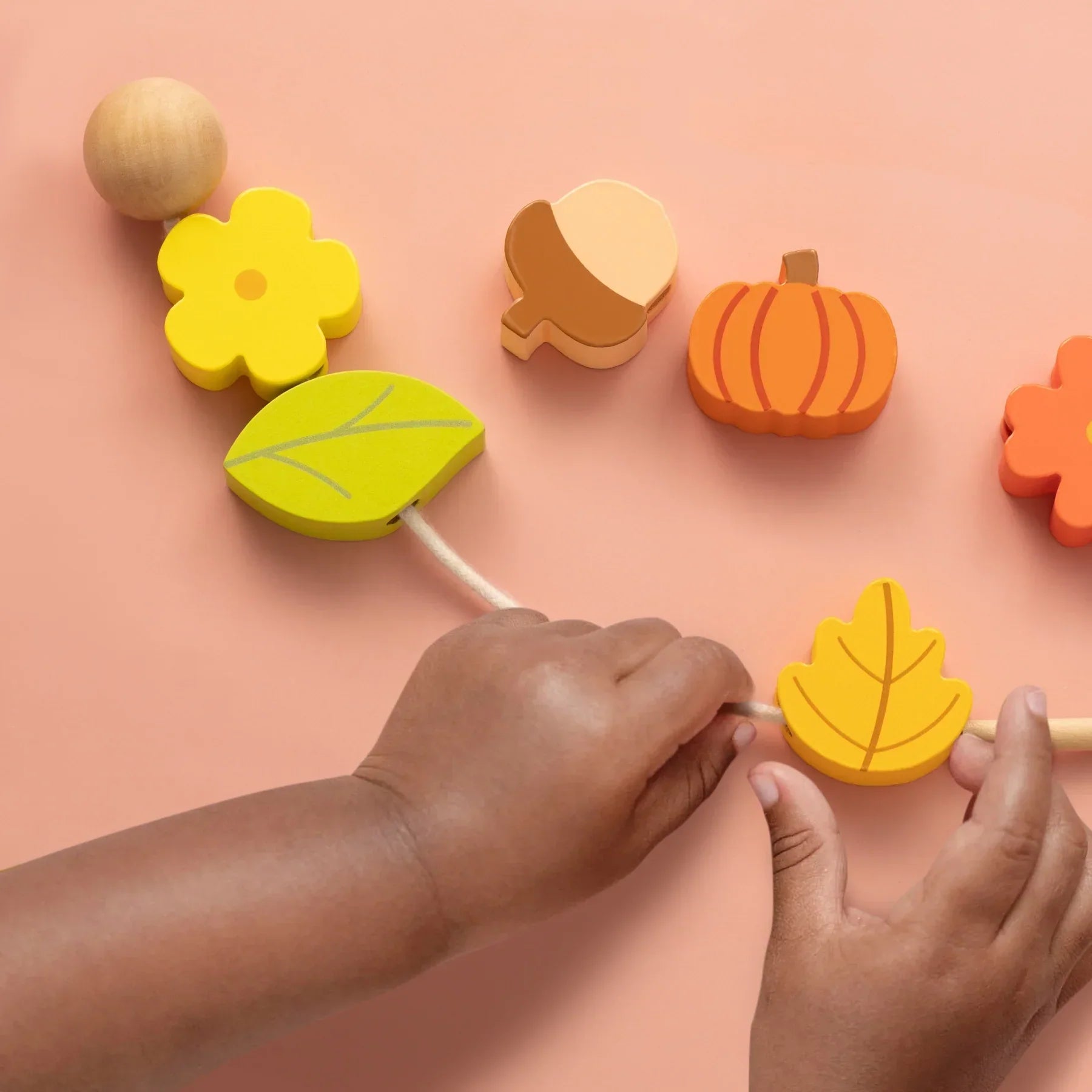 Tiny Land® Montessori Toys Set for Toddlers (18 - 24month) - The Nurturing Nook