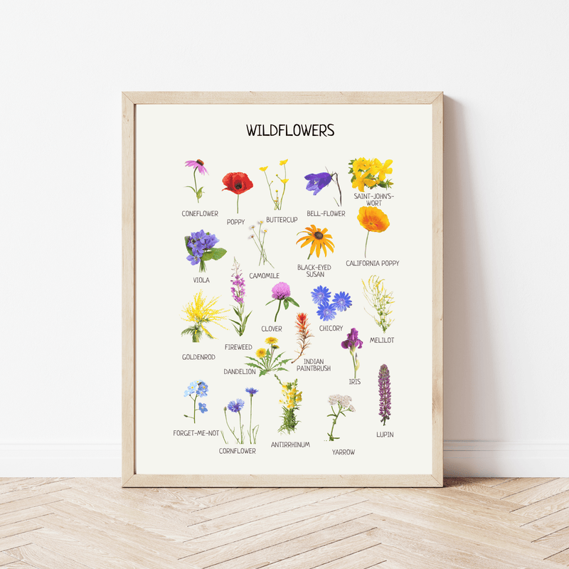 Wildflowers Poster - Educational Nature Wall Art for Kids’ Room, Nursery & Montessori Classroom | Digital Download