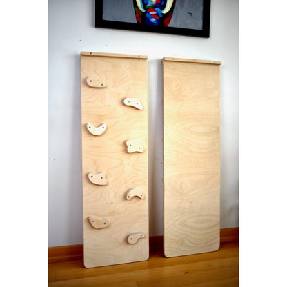 Reversible Rockwall Climbing / Sliding Ramp - The Nurturing Nook